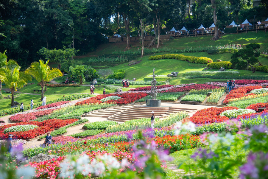 Chiang Rai 